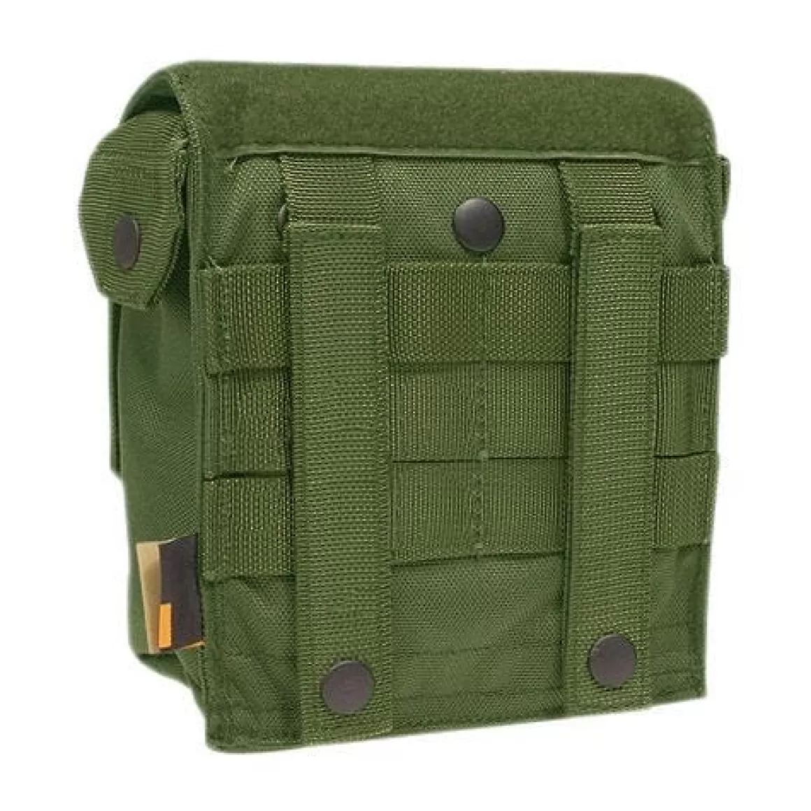 Flyye Industries Magazine Pouches>Flyye M60 100Rds Ammo Pouch Molle Olive Darb