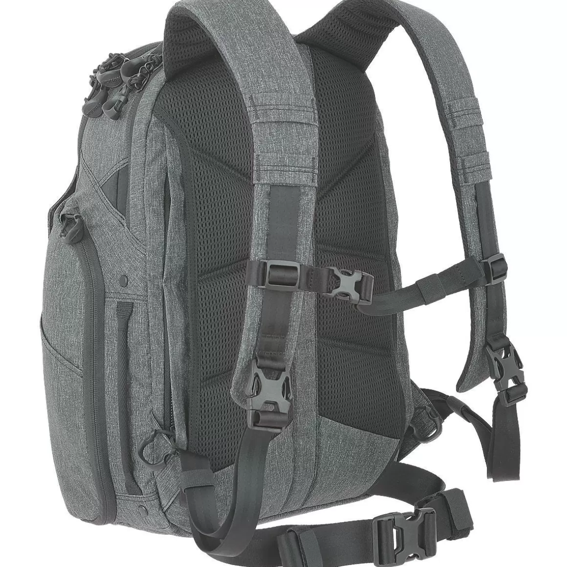 Maxpedition Backpacks & Rucksacks> Entity 23 Ccw-Enabled Laptop Backpack Ash