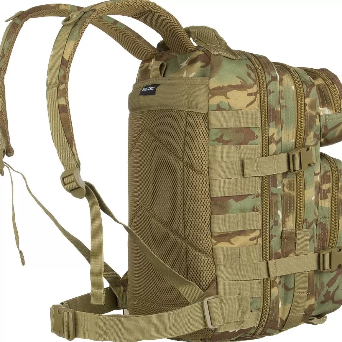 Mil-Tec Backpacks & Rucksacks> Molle Us Assault Pack Small Arid Woodland