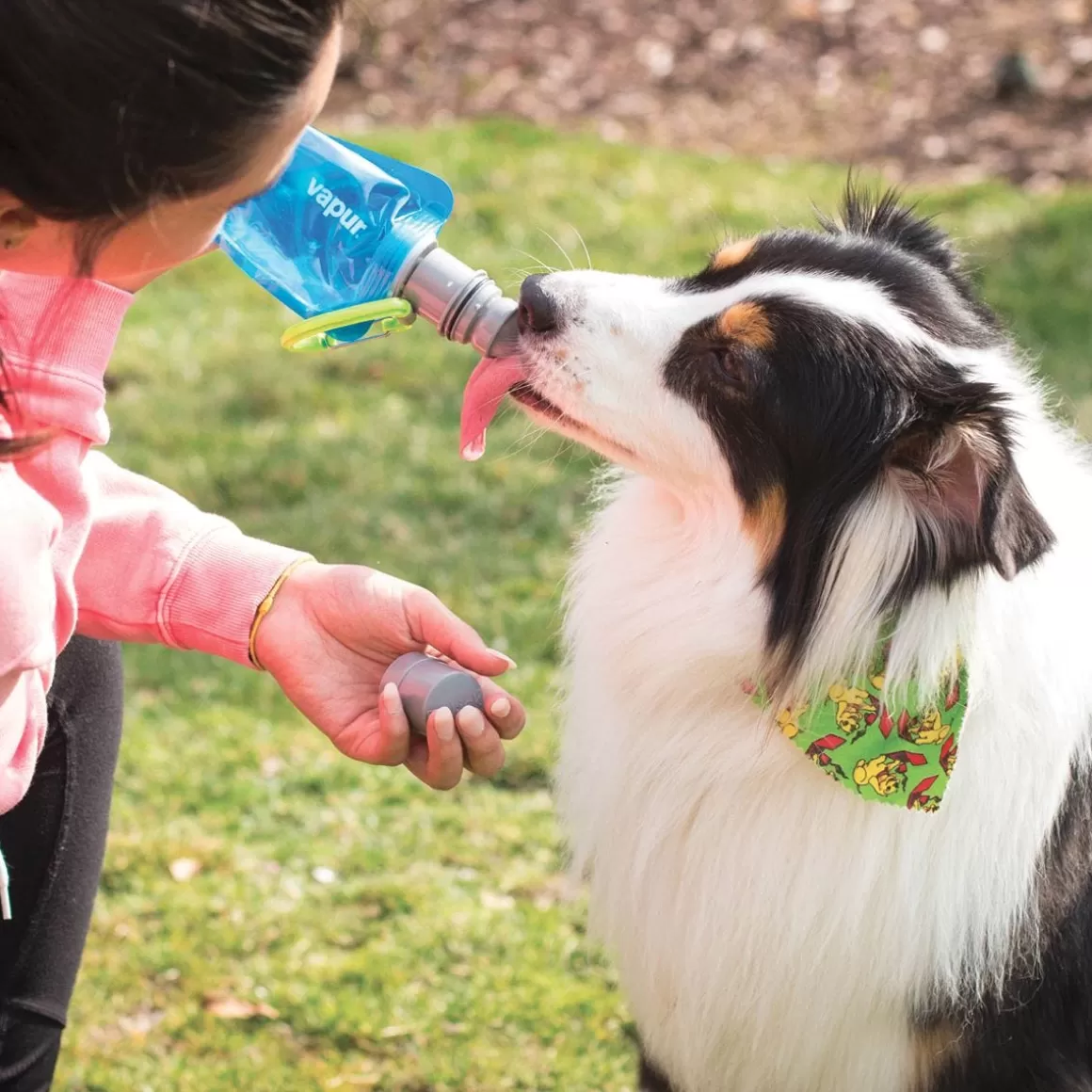 Vapur Everything Else> Ez Lick Portable Dog Water Anti-Bottle 700Ml Water